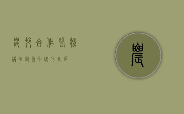 农村合作医疗，构建健康中国的基石