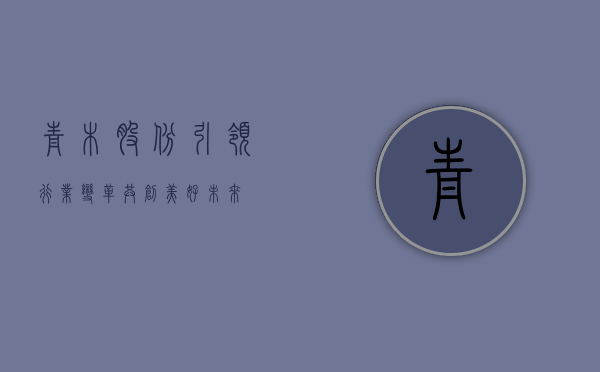 青木股份，引领行业变革，共创美好未来