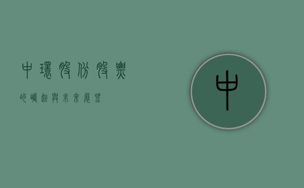 中环股份股票的崛起与未来展望