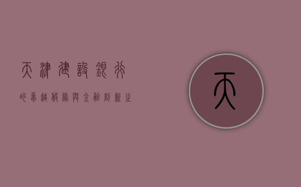 天津建设银行的卓越服务与金融创新之路