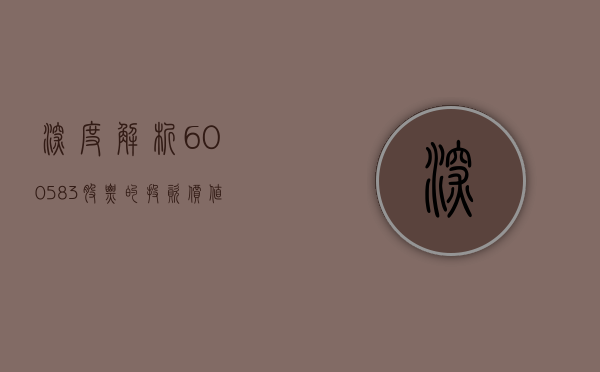 深度解析，600583股票的投资价值与前景展望