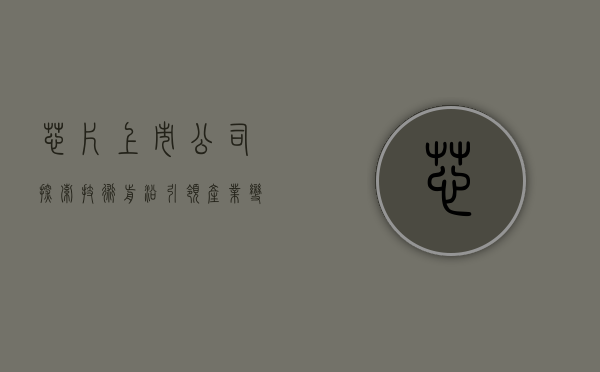 芯片上市公司，探索技术前沿，引领产业变革