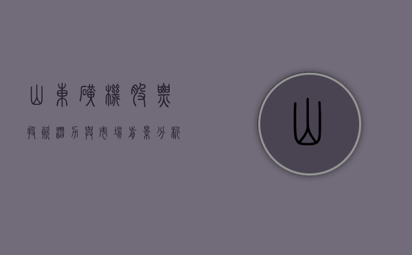 山东矿机股票，投资潜力与市场前景分析