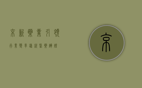 京新药业，引领行业变革，铸就医药辉煌