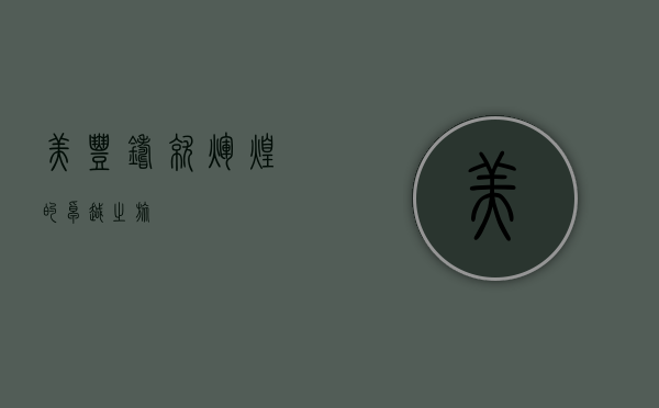 美丰,铸就辉煌的卓越之旅