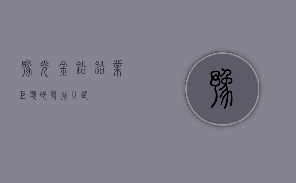 豫光金铅，铅业巨头的发展之路