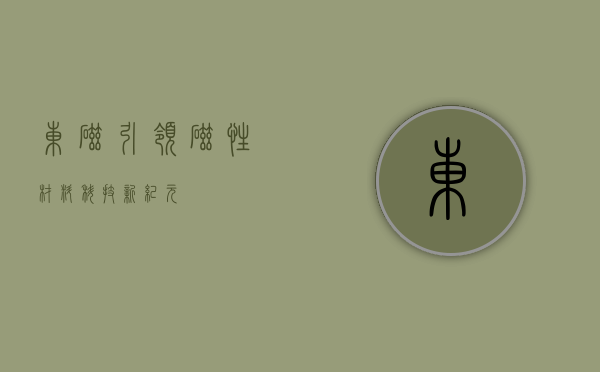 东磁,引领磁性材料科技新纪元