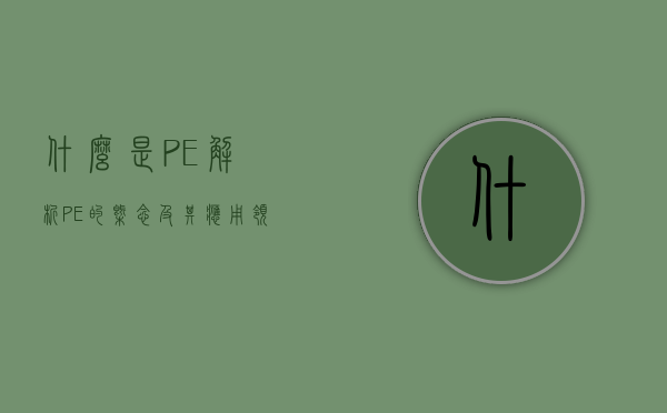 什么是PE？解析PE的概念及其应用领域