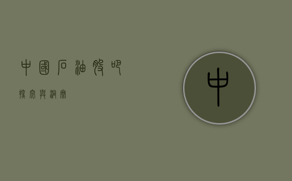 中国石油股吧，探究与洞察
