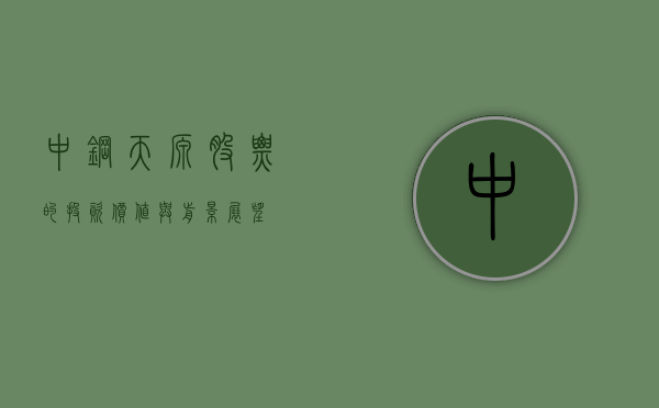 中钢天源股票的投资价值与前景展望