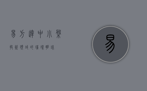 易方达中小盘，投资领域的璀璨明珠
