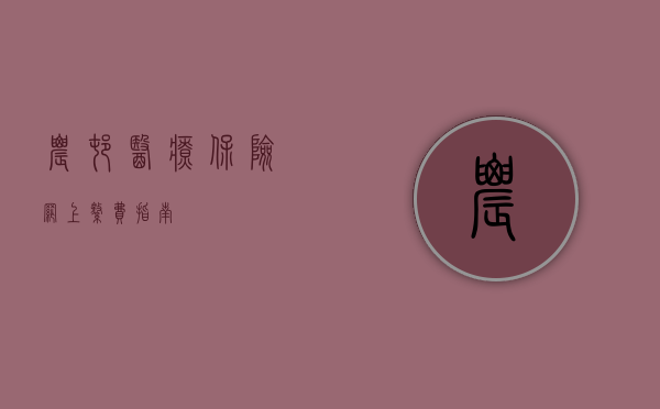 农村医疗保险网上缴费指南