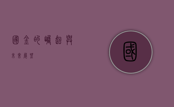 国金的崛起与未来展望