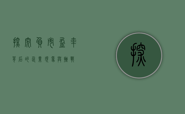 探究负市盈率背后的企业现象与挑战