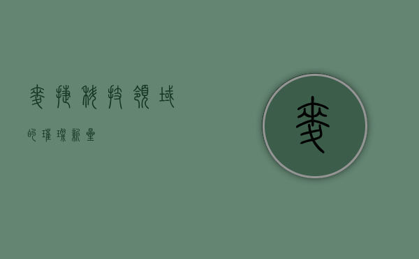 麦捷，科技领域的璀璨新星