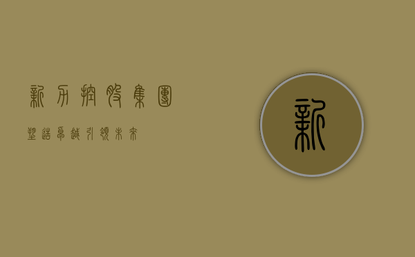 新力控股集团,塑造卓越,引领未来
