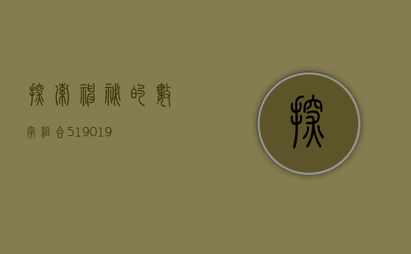 探索神秘的数字组合，519029