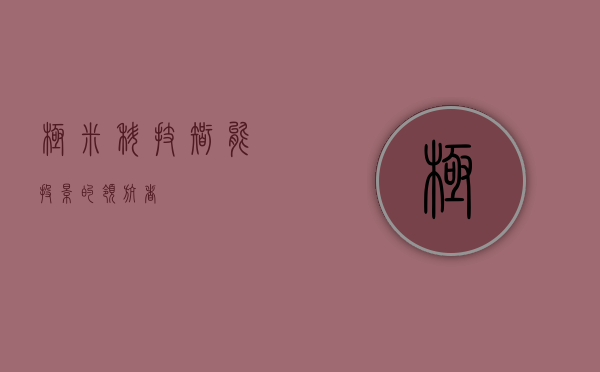 极米科技,智能投影的领航者