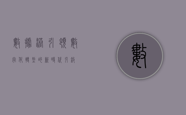 数据港，引领数字化转型的新时代引擎