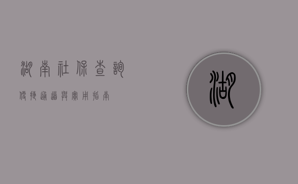 湖南社保查询，便捷通道与实用指南