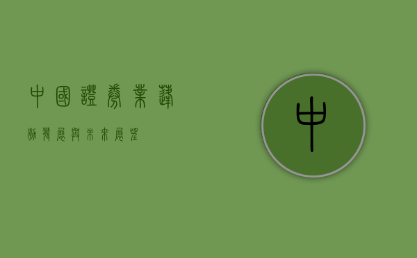中国证券业，蓬勃发展与未来展望