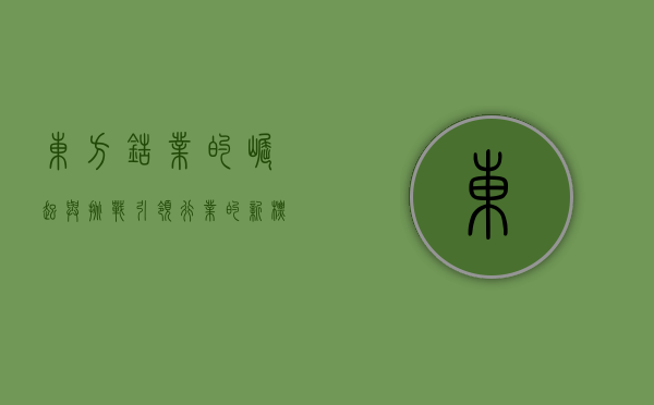 东方锆业的崛起与挑战，引领行业的新标杆