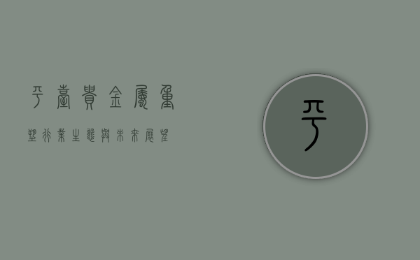 平台贵金属，重塑行业生态与未来展望