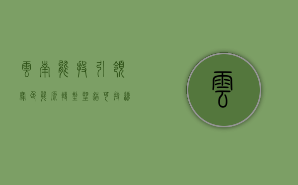 云南能投，引领绿色能源转型，塑造可持续发展新篇章