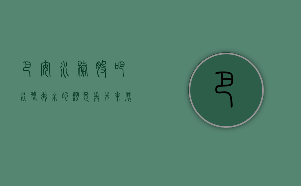 巴安水务股吧，水务行业的翘楚与未来展望