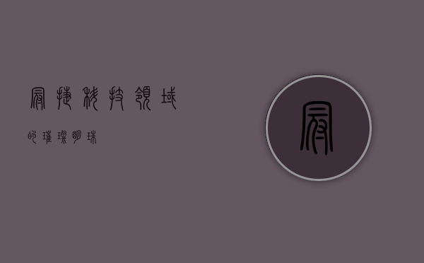 冠捷，科技领域的璀璨明珠