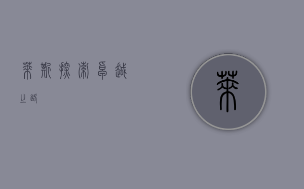 莱斯，探索卓越之路