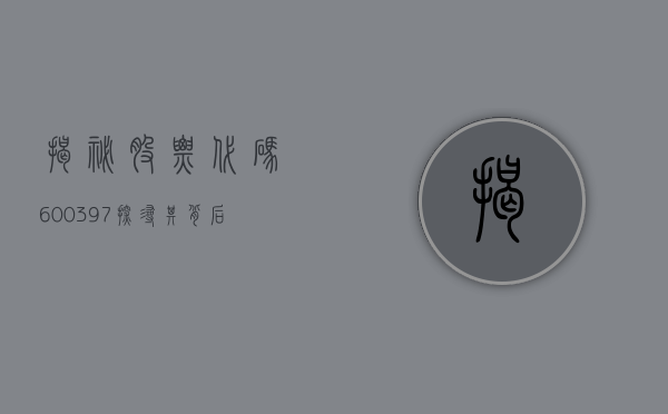 揭秘股票代码600397，探寻其背后的商业力量与未来展望