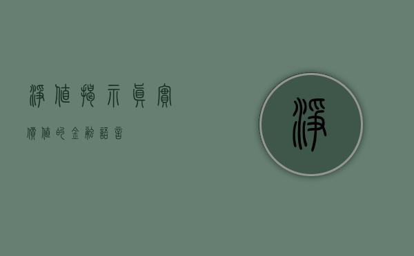 净值，揭示真实价值的金融语言