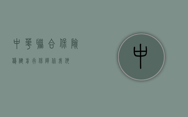 中华联合保险，稳健前行，保障你我他