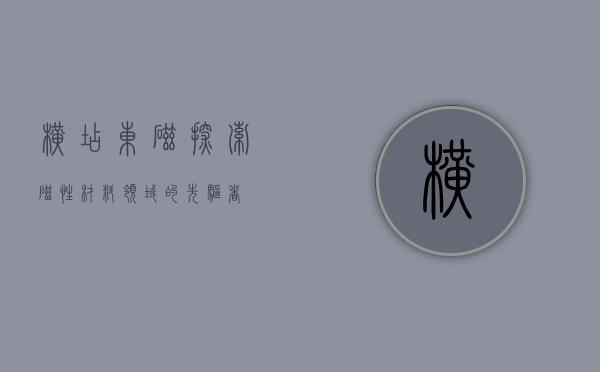 横店东磁，探索磁性材料领域的先驱者