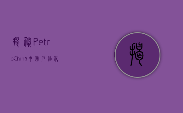 揭秘PetroChina，中国石油化工行业的领航者