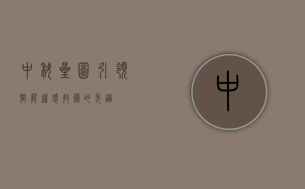 中科星图,引领智能遥感技术的先锋