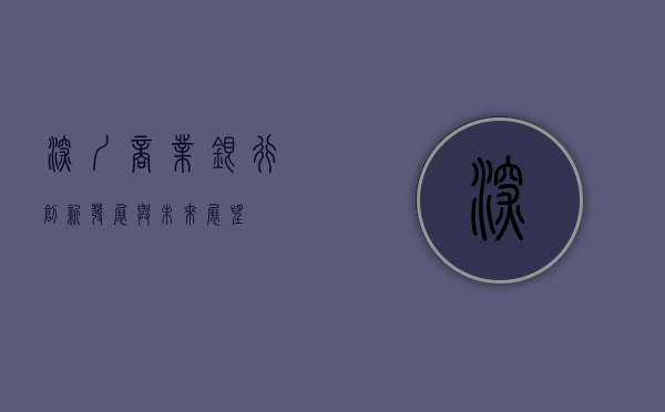 深圳商业银行，创新、发展与未来展望