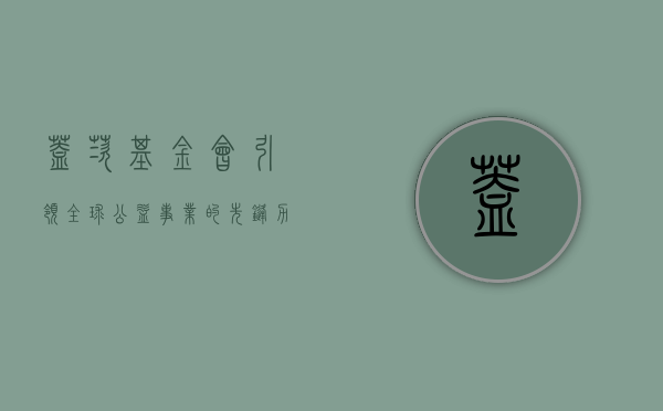 盖茨基金会，引领全球公益事业的先锋力量