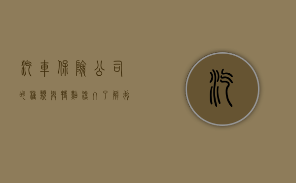 汽车保险公司的种类与特点，深入了解行业巨头及其服务