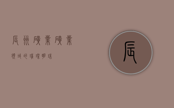辰州矿业，矿业领域的璀璨明珠