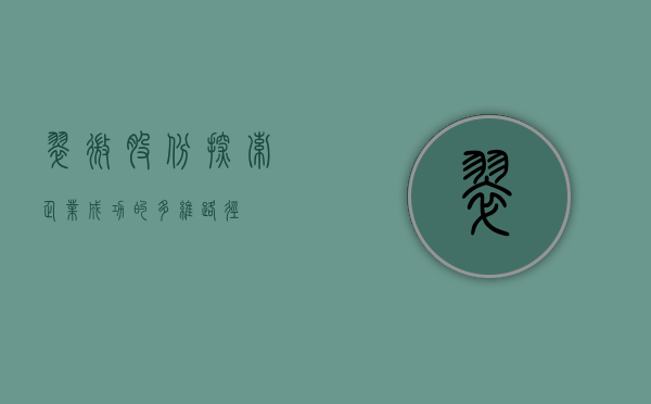 翠微股份，探索企业成功的多维路径