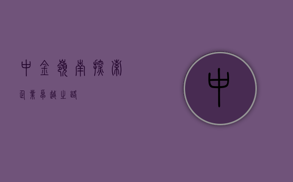 中金岭南，探索企业卓越之路