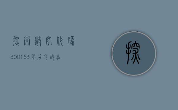 探索数字代码，300163背后的故事与意义