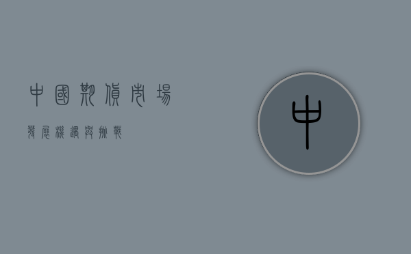 中国期货市场，发展、机遇与挑战