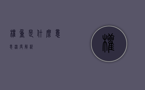 权重是什么意思—深度解析