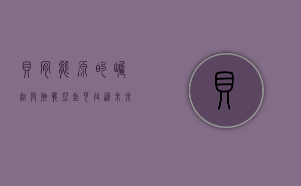 贝肯能源的崛起与挑战，塑造可持续未来的能源巨头