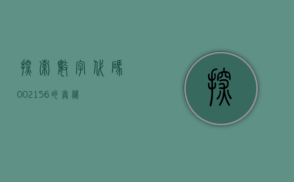 探索数字代码 002156 的奥秘