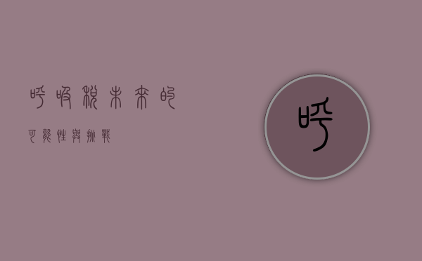 呼吸税，未来的可能性与挑战