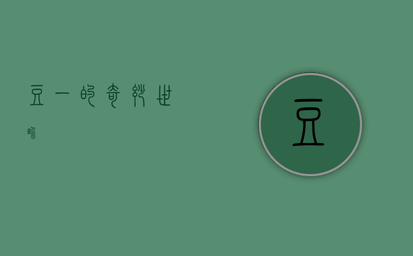 豆一的奇妙世界